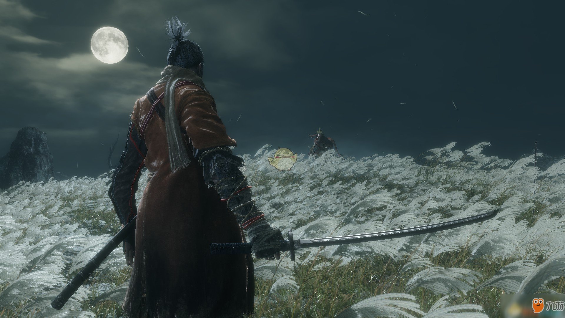 F1 2024 豪华版 截图10