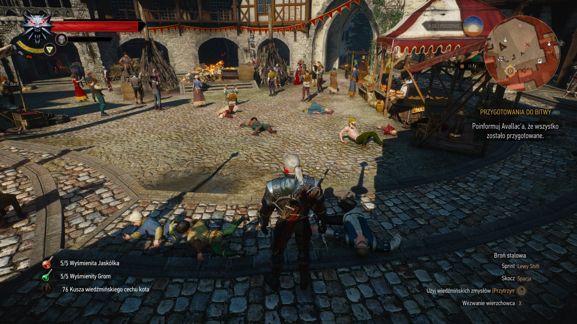 巫师3：狂猎 终极版 截图16