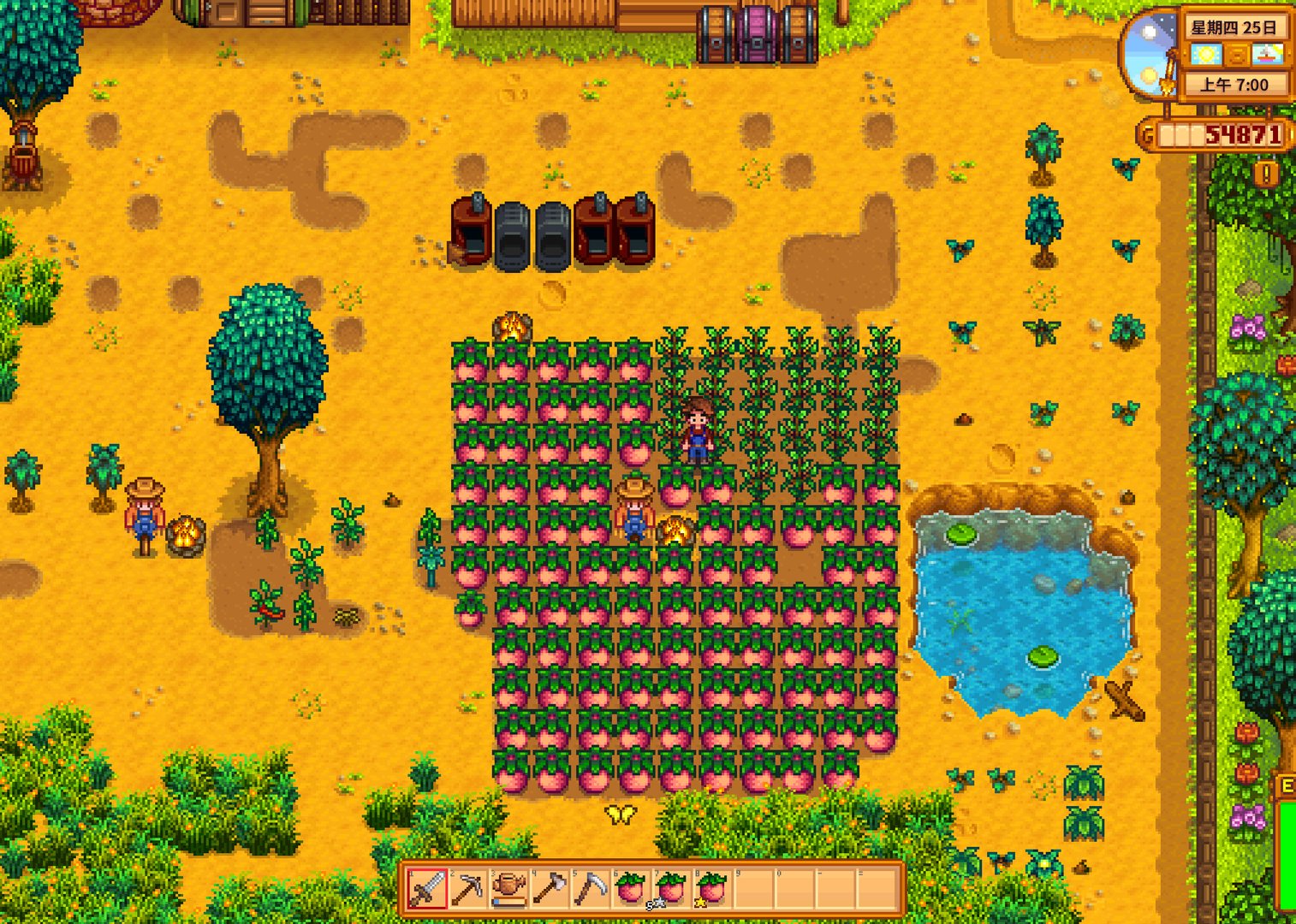 森林 完整版 截图10