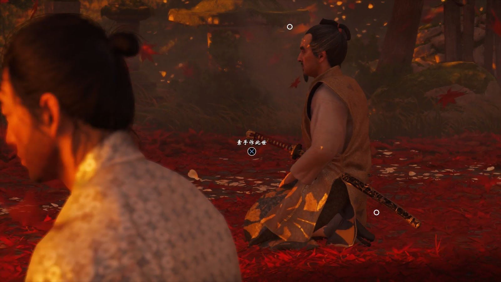 只狼：影逝二度 截图10